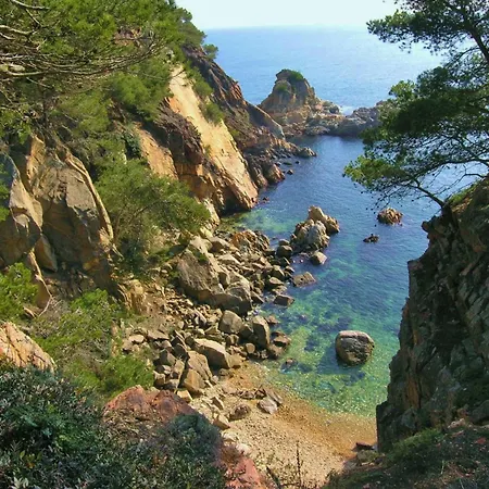 Apartamento M26 Bonito Ap 1 Hab Playa De La Fosca